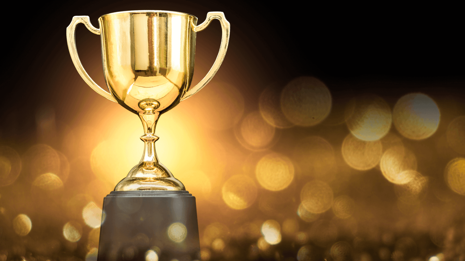 BBB Torch Award 2024