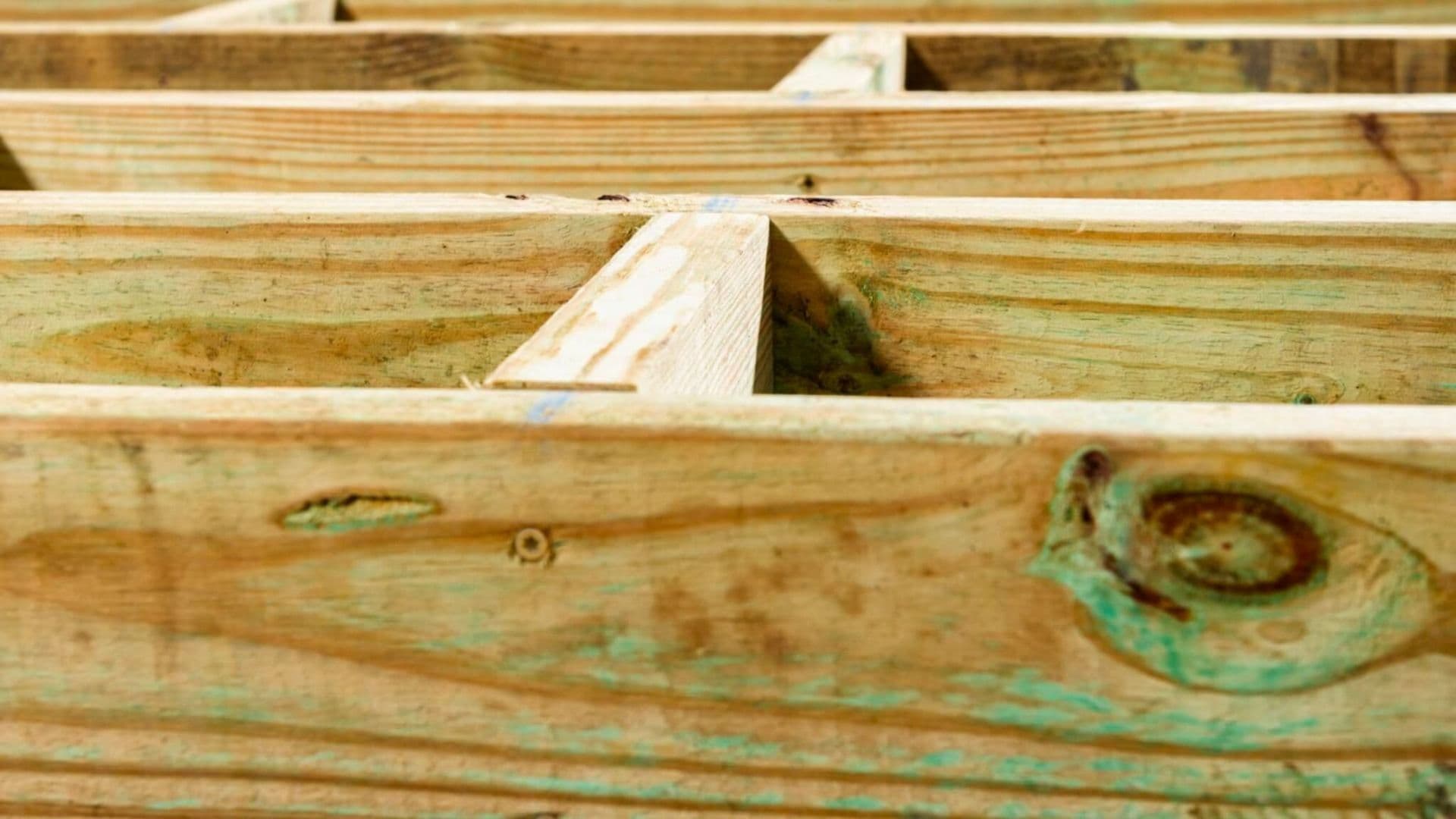 Pressure-Treated-Wood_-Maximizing-Longevity-Outdoors